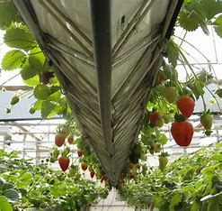 Objetivos Específicos